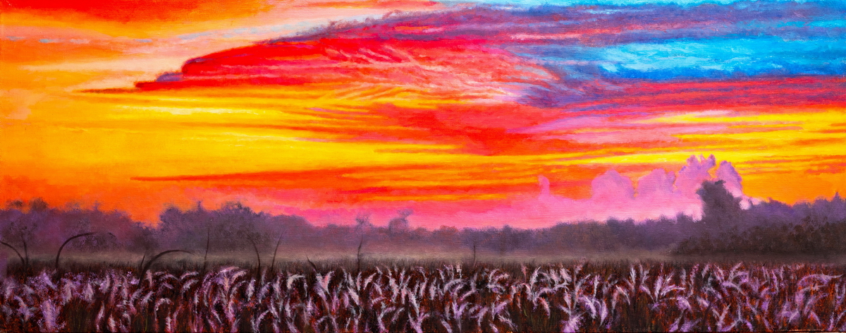 Dawn Over the Everglades
